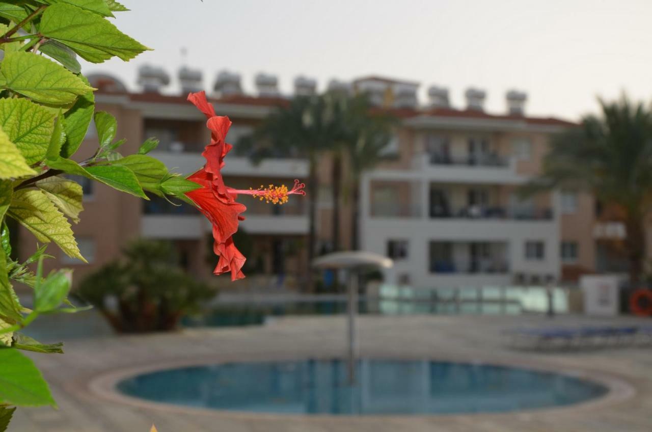 Iris Village Paphos Extérieur photo
